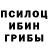 Псилоцибиновые грибы GOLDEN TEACHER Wfu Hf