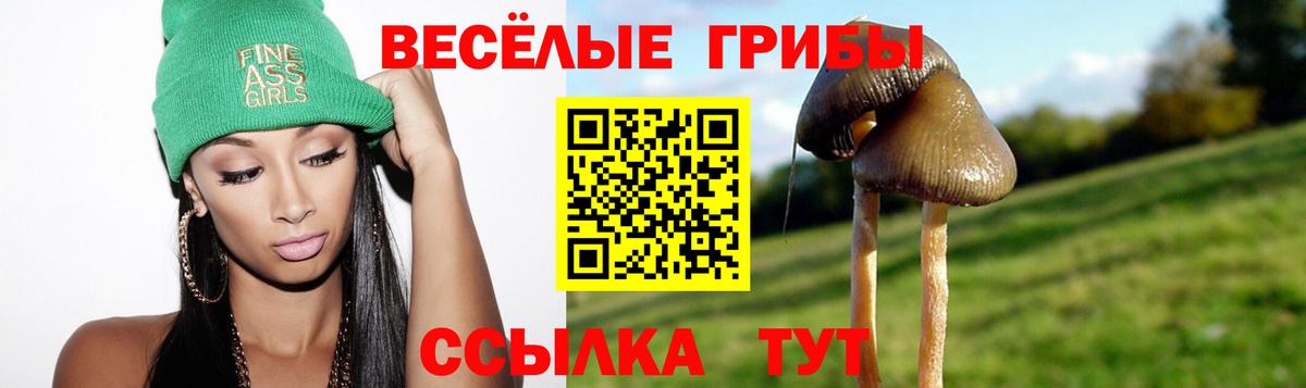 даркнет сайт  Псилоцибиновые грибы Psilocybe  Маркс  Вход с VPN  Галлюциногенные грибы прущие грибы 